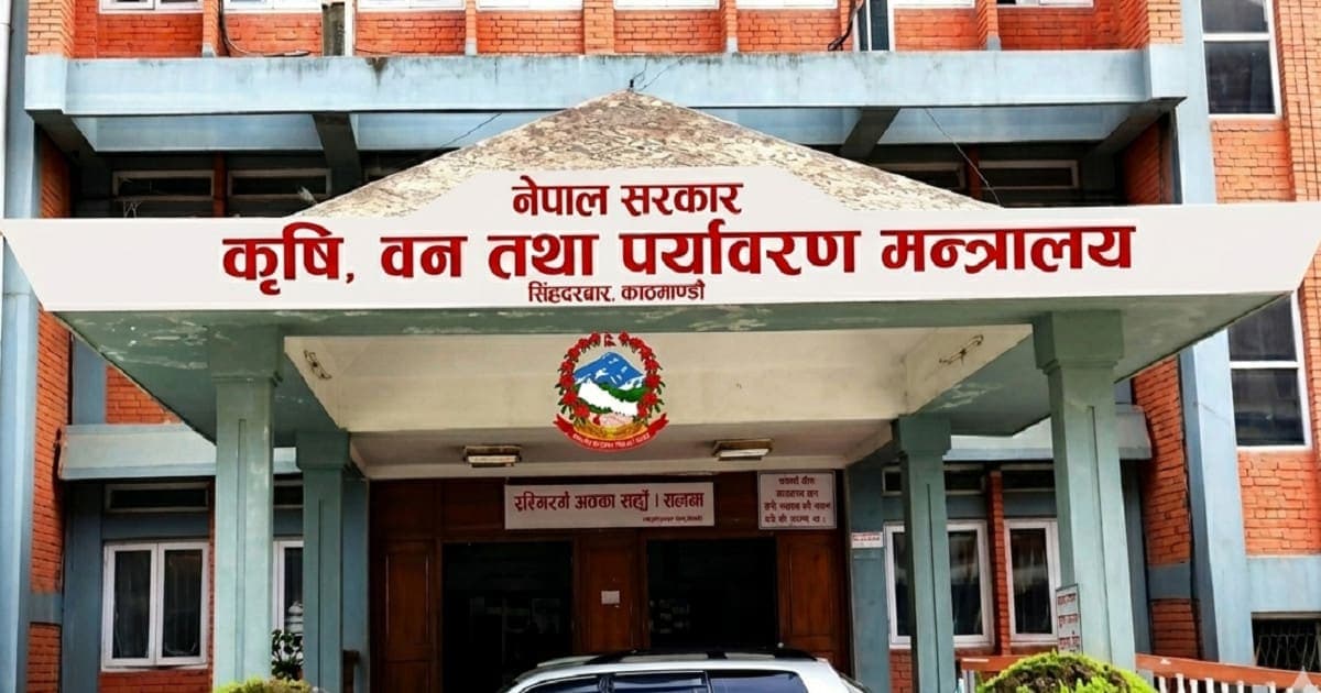 चैते धानको समर्थन मूल्य कार्यान्वयनमा सरकारको जोड