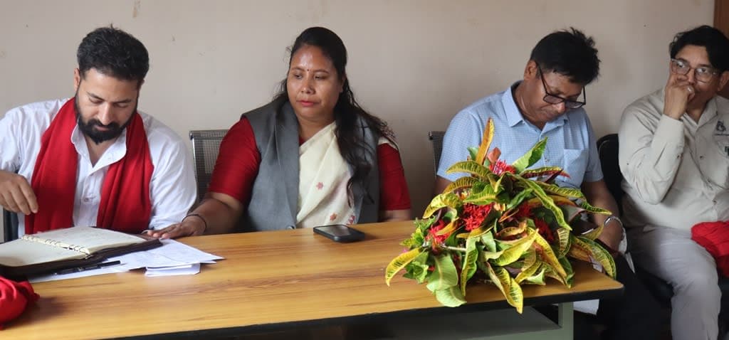 रासायनिक मल आपूर्तिमा चुनौती