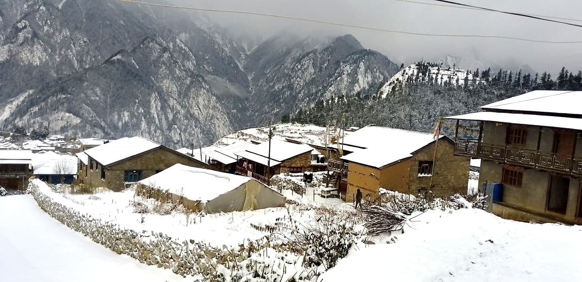 भोलिदेखि शनिबारसम्म वर्षा र हिमपात : धान नकाट्न अनि लामो दूरीको यात्रा नगर्न सल्लाह